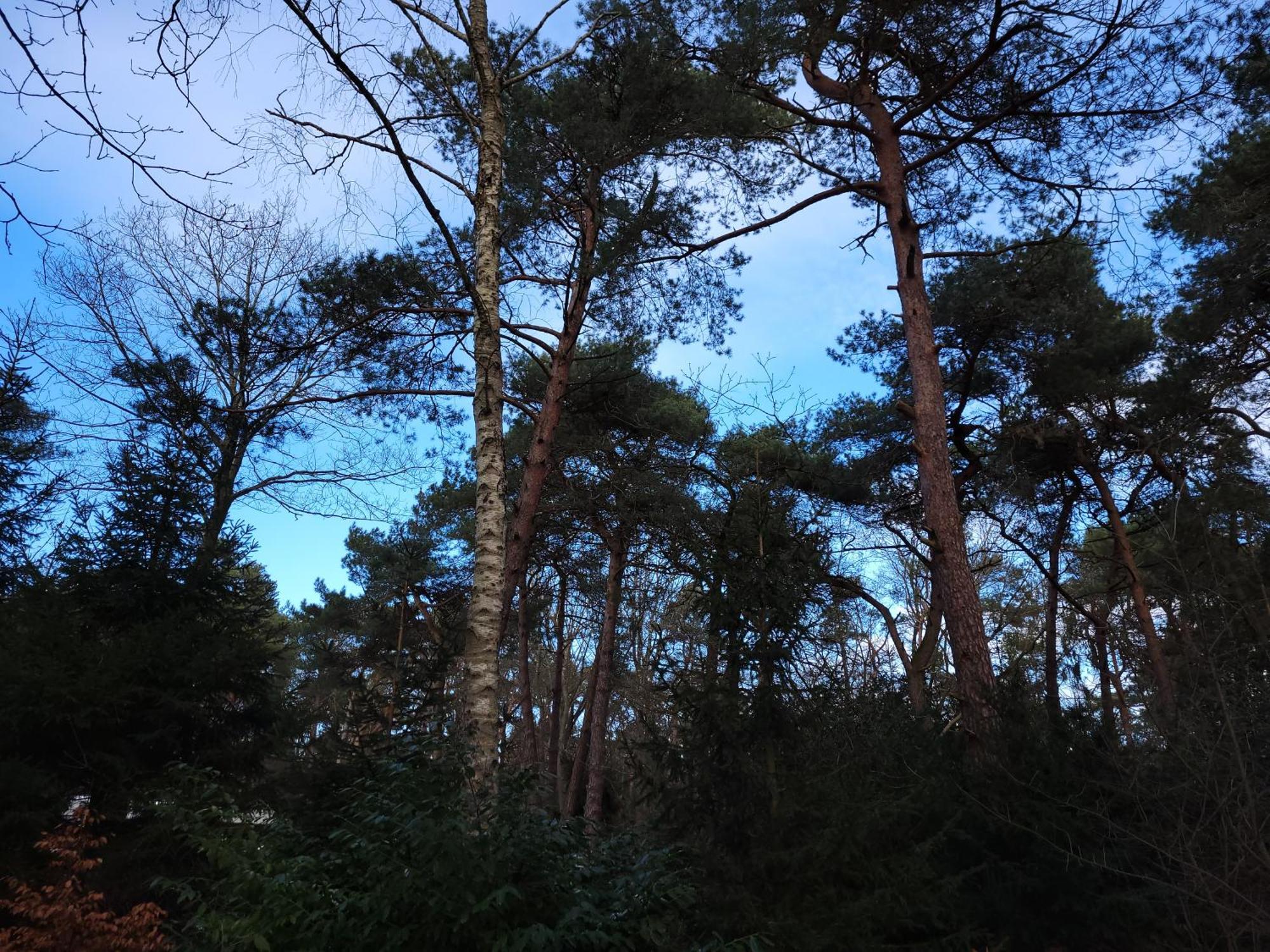 Secret Wellness Puur Natuur Holten Exterior photo